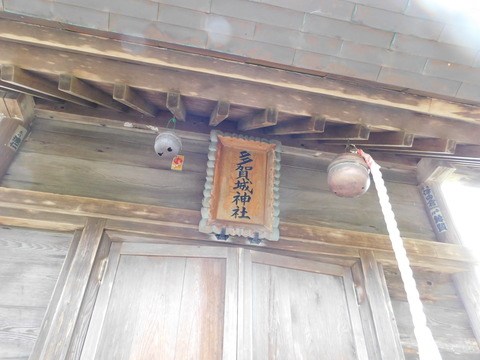 DSCN7140