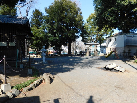 DSCN1308