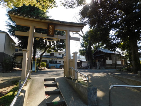 DSCN1298