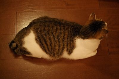 DSC00465