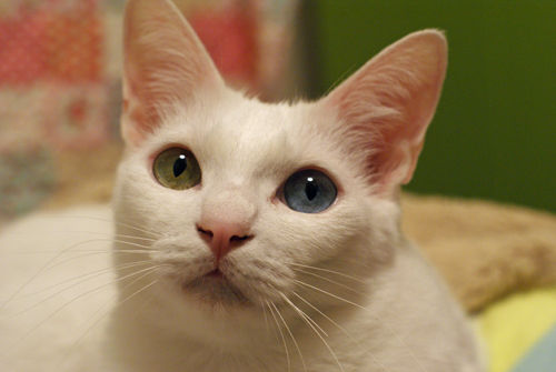 DSC09304
