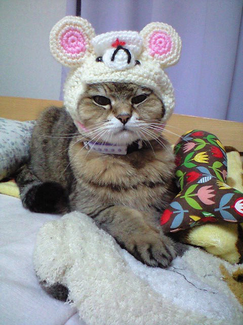ナースミーナ