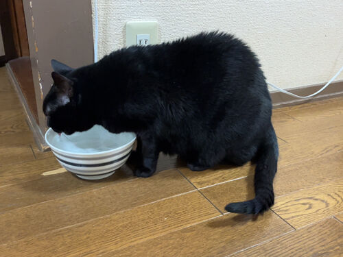 IMG_1771(1)