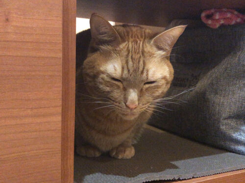 IMG_5104(1)