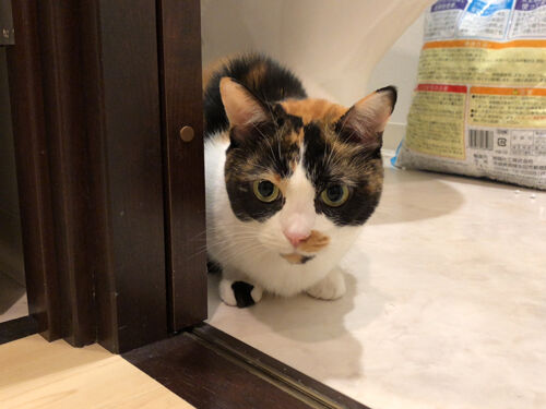 IMG_9051(1)