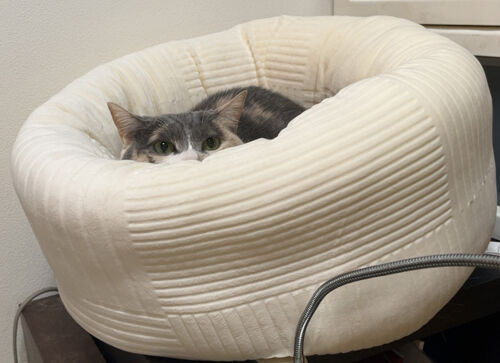IMG_9902(1)