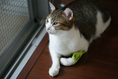 DSC07005