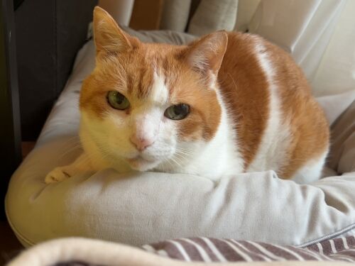 IMG_3087 (2)
