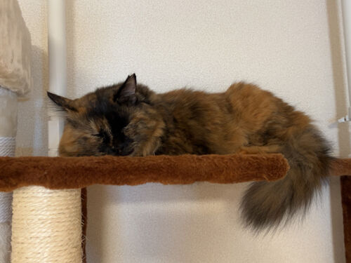 IMG_6063(1)