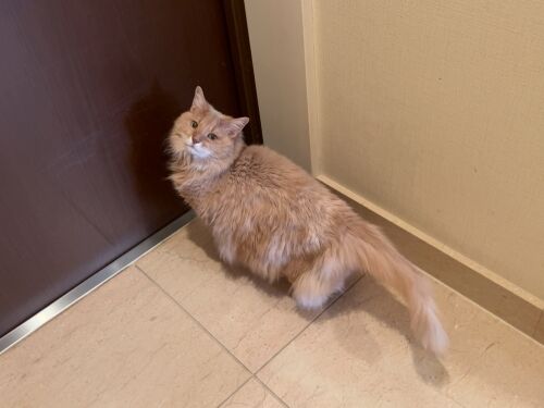 IMG_0658(1)