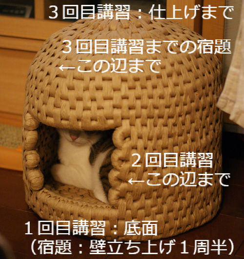 BlogPaint