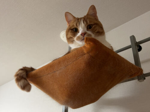 IMG_1110(1)