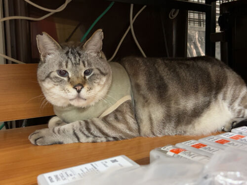 IMG_1678(1)