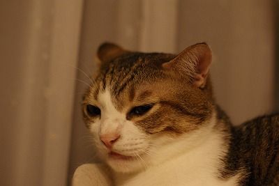 DSC00492