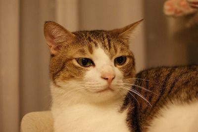 DSC00491