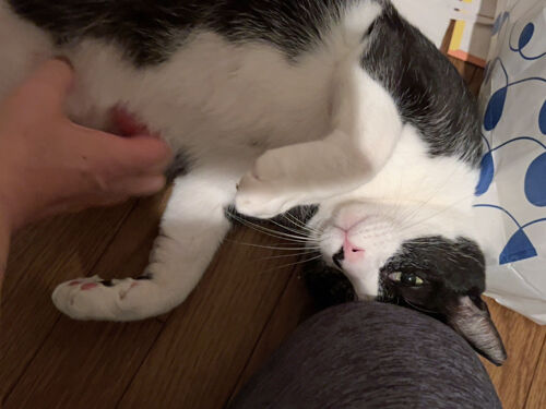 IMG_4203(1)