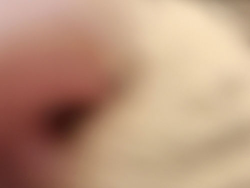 IMG_0829