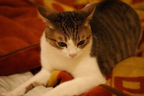 DSC05828