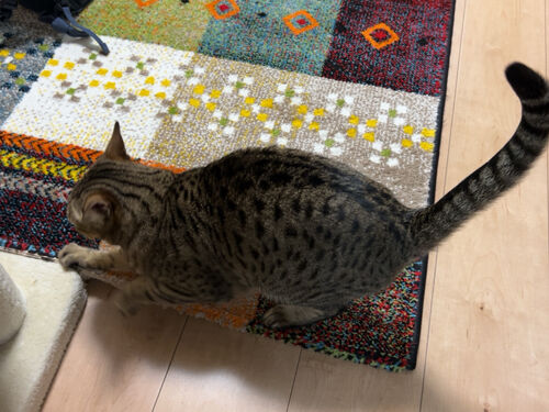 IMG_2697