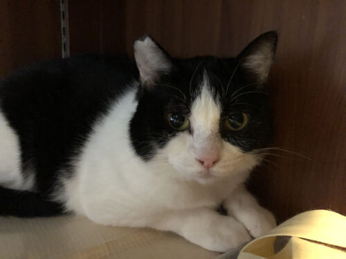 IMG_2013(1)