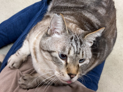 IMG_9786