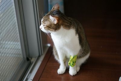 DSC07002