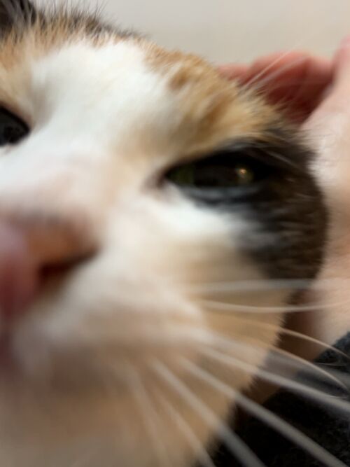 IMG_1093(1)