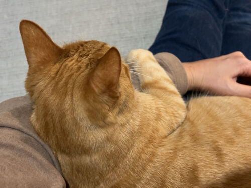 IMG_9880(1)