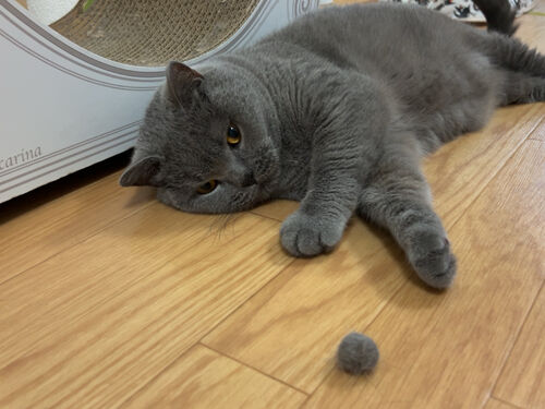 IMG_3900(1)
