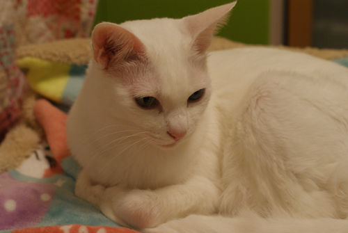 DSC09291