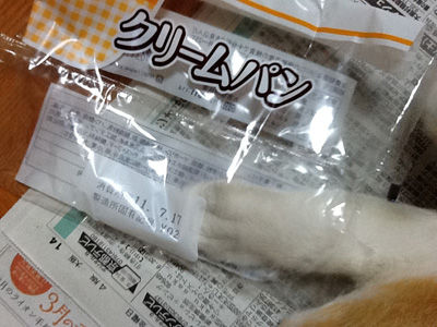 13tora