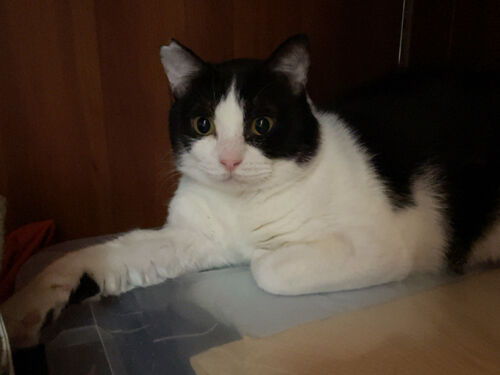 IMG_2760(1)