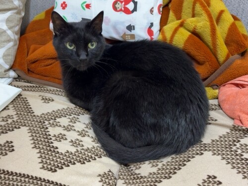 IMG_3267(1)