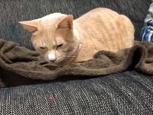 IMG_1339