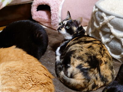 5�ʤä����