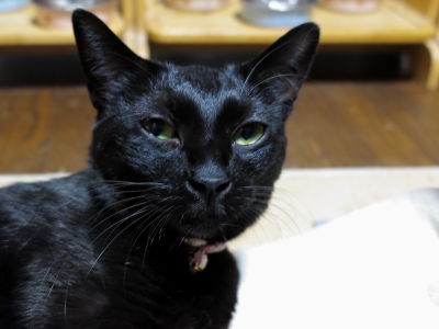 ���ޤ�1_����