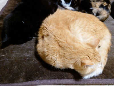 3�������������å�