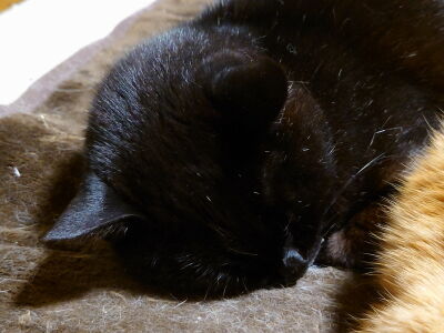 1��������