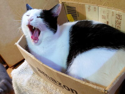 �ϥ�_12���ܤβ�²��ǰ��