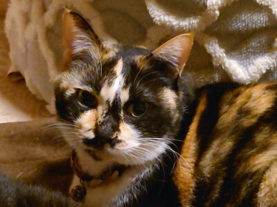 6�ʤä����