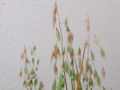 おまけ2