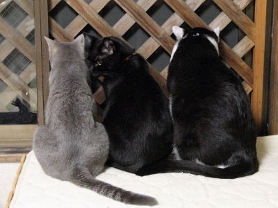 2���������������