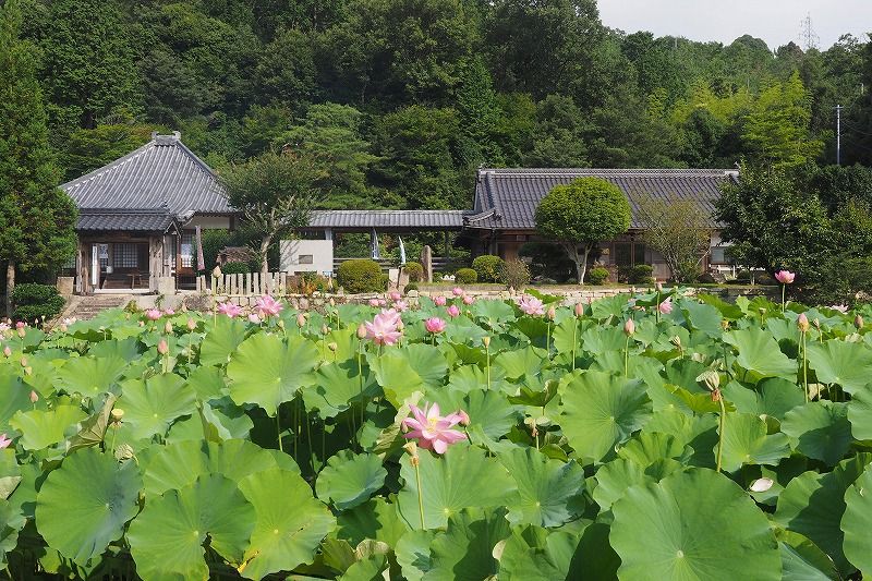 花の寺