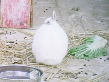 DSCN3555