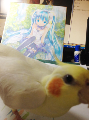 写真 11