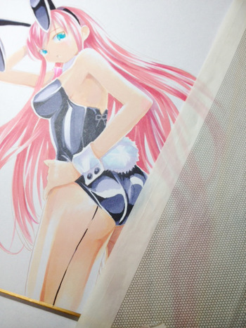 写真 1