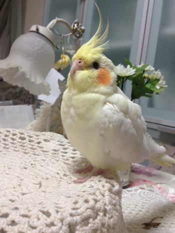 写真 1