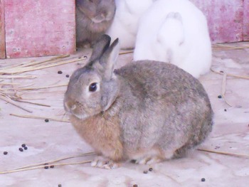 DSCN3558