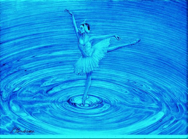 Afterimage from the Ballet, Swan Lake バレエの残像：白鳥の湖