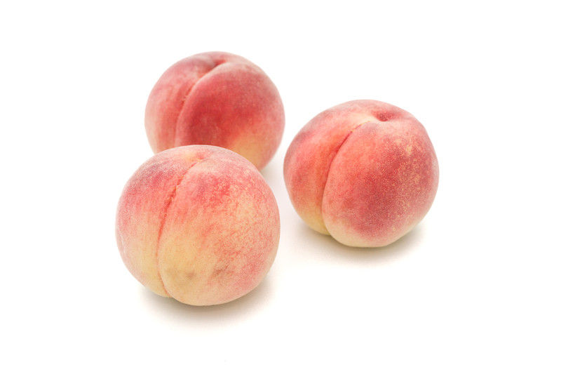 彡 うなぎってそんなうまいんか 食べたことない よりログ